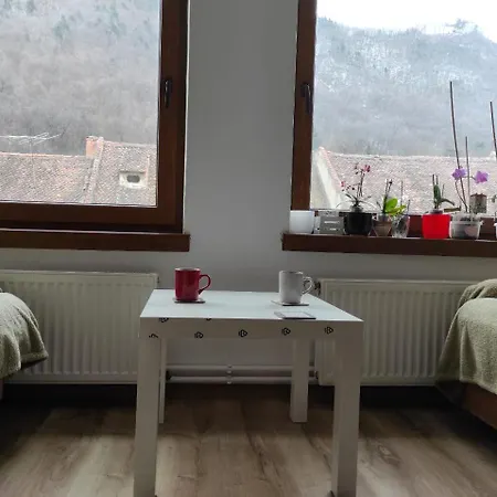 Purpose Brasov